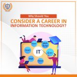 Career In Information Technology